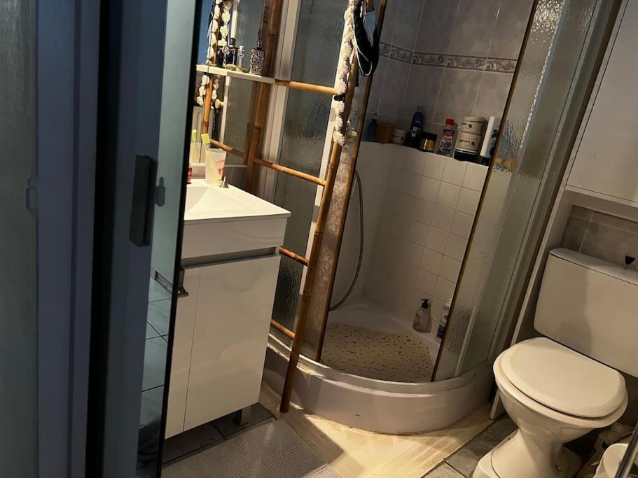 Apparemment Blagnac Proche Tram Apartment ภายนอก รูปภาพ